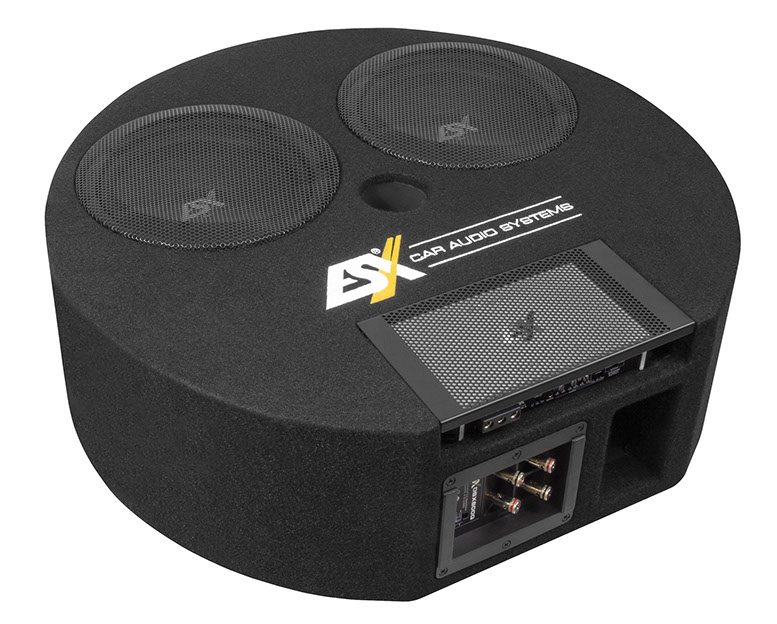 ESX Subwoofer 2 x 20 cm Dual Bassreflex reservewiel DBX800Q