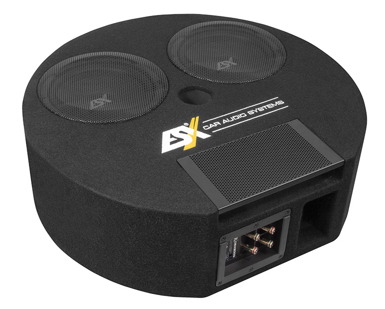 ESX Subwoofer 2 x 20 cm Dual Bassreflex reservewiel DBX800Q